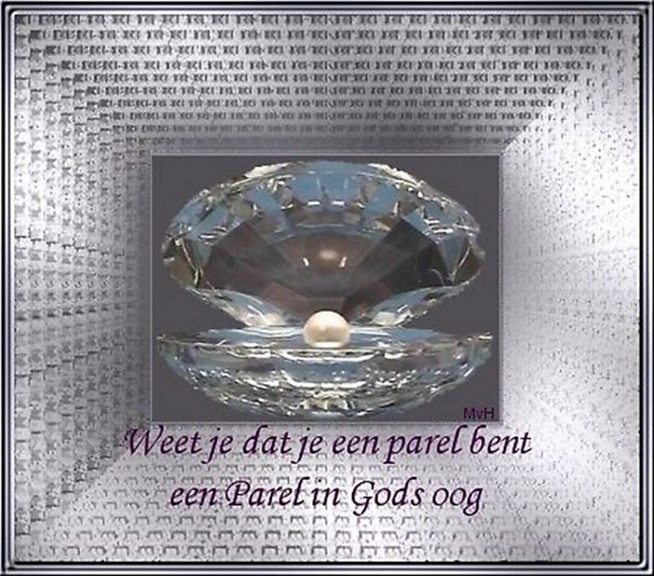 spel